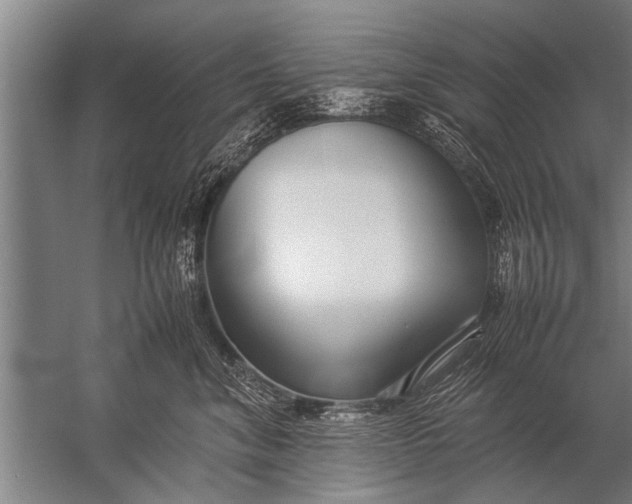 X0000057060620200510010109