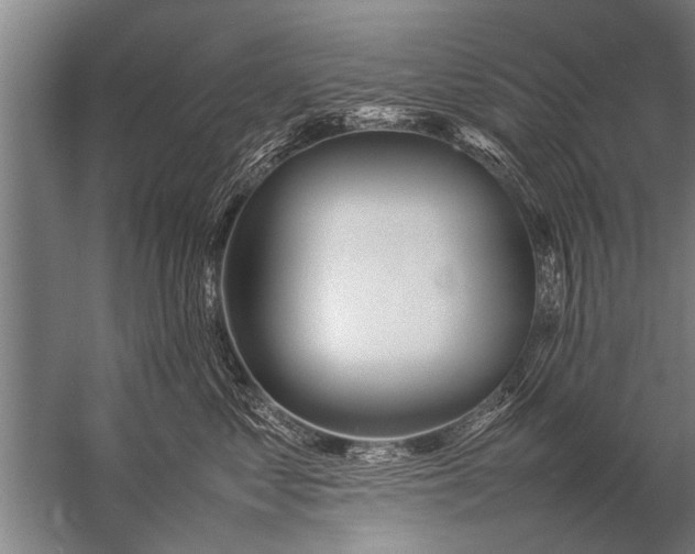 X0000057060621200510010109