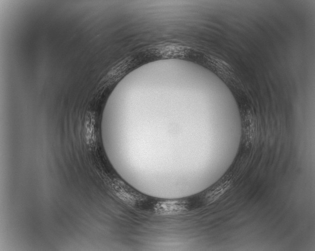 X0000057060622200510010109