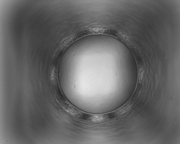 X0000057060623200510010109