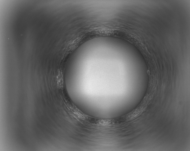 X0000057060624200510010109