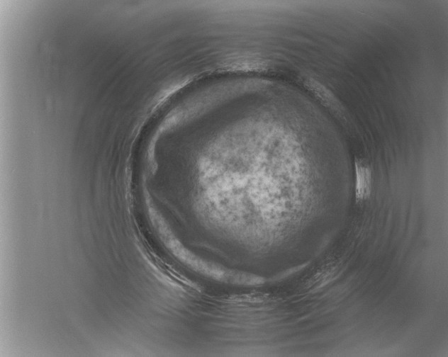 X0000057060627200510010108