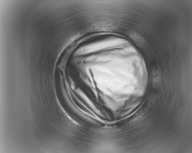 X0000057060630200510010108