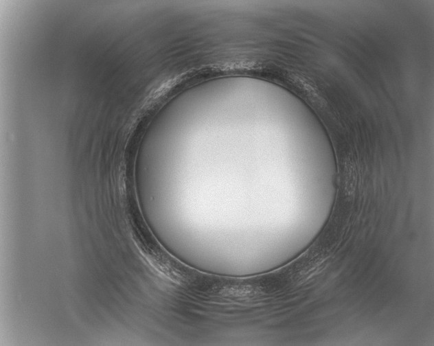 X0000057060631200510010108