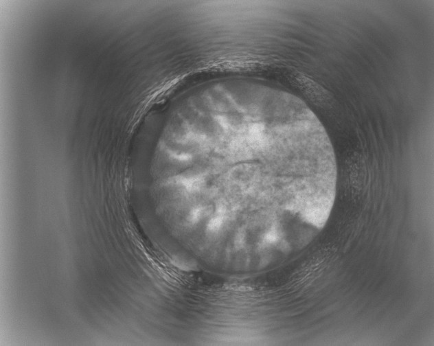 X0000057060640200510010108