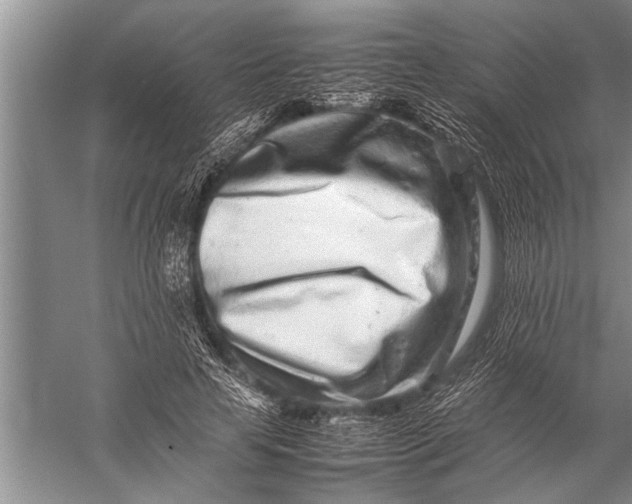 X0000057060641200510010108