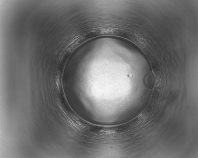 X0000057060648200510010108