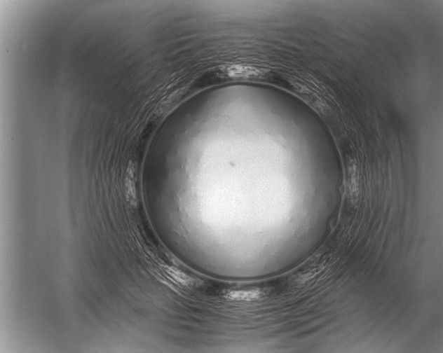 X0000057060653200510010108