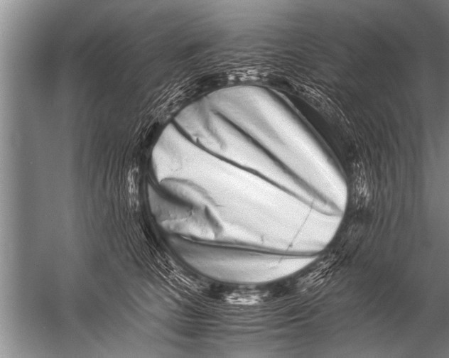 X0000057060661200510010109