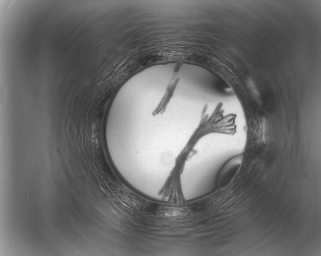 X0000057060663200510010109