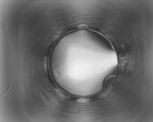 X0000057060664200510010109