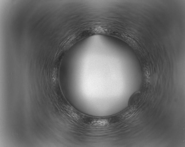 X0000057060665200510010109