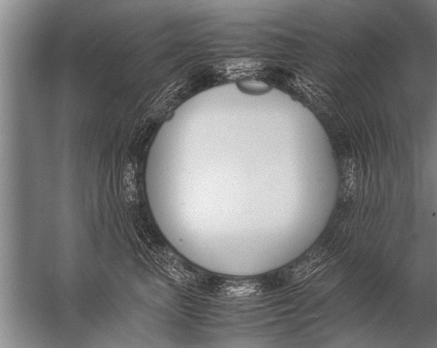 X0000057060667200510010109