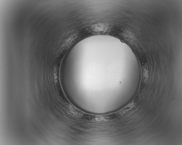 X0000057060668200510010109