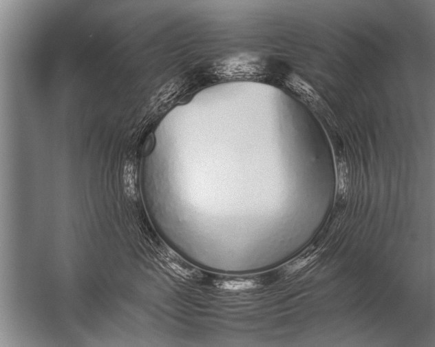 X0000057060669200510010109