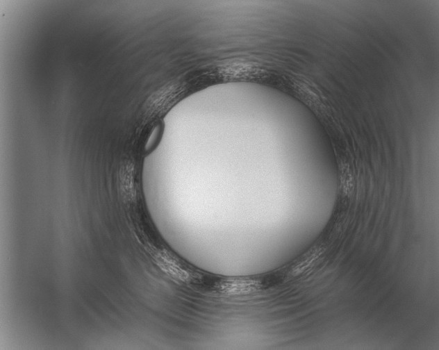 X0000057060670200510010109