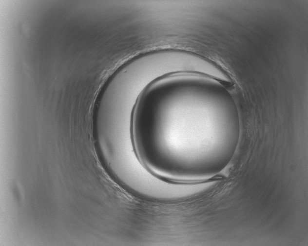 X0000057060673200510010108