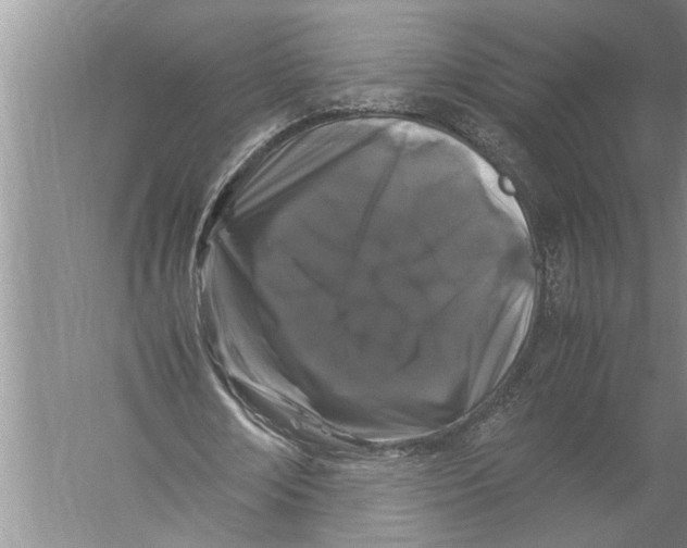 X0000057060674200510010108