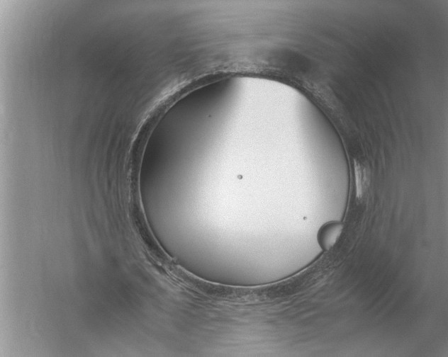 X0000057060675200510010108