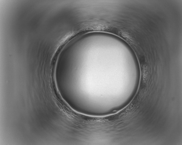 X0000057060679200510010108