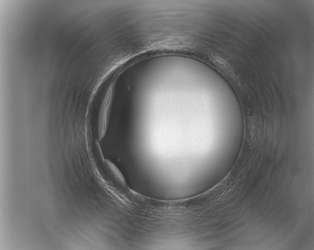 X0000057060680200510010108