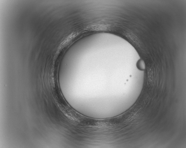 X0000057060682200510010108