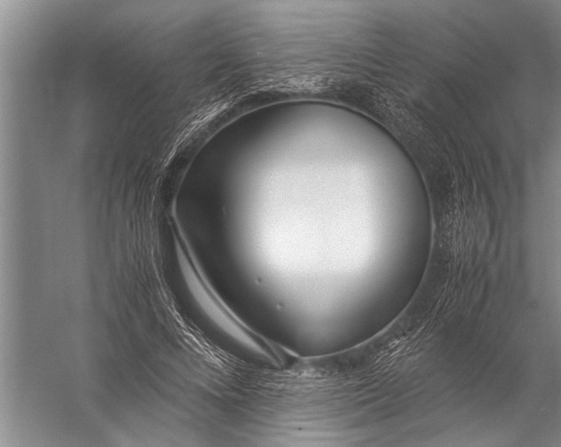 X0000057060688200510010108