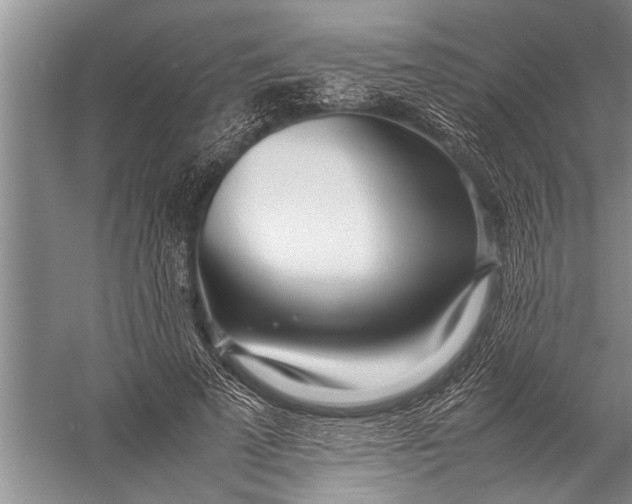 X0000057060689200510010108