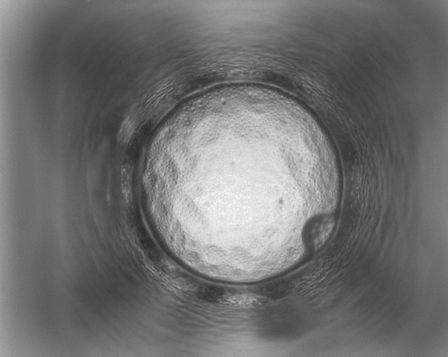 X0000057060695200510010108