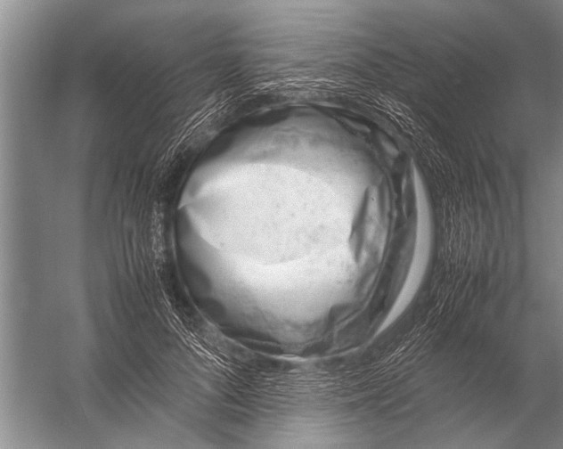 X0000057060696200510010108