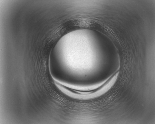 X0000057060697200510010107