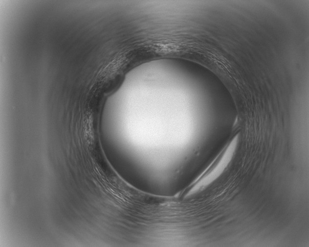 X0000057060700200510010107