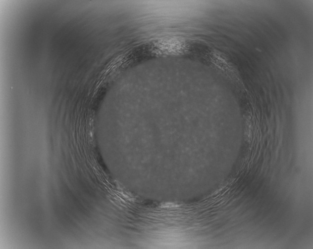 X0000057060701200510010107