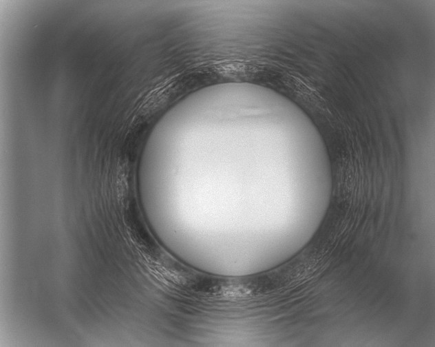 X0000057060702200510010107