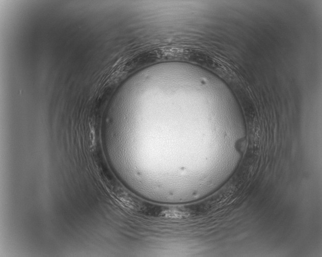 X0000057060703200510010107