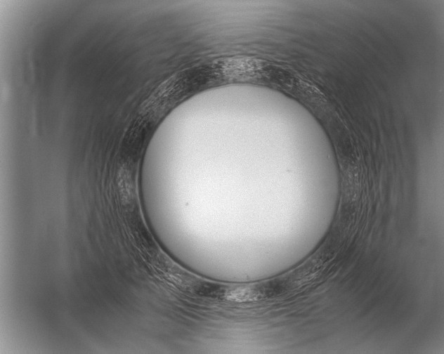 X0000057060705200510010107