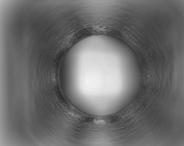 X0000057060706200510010107