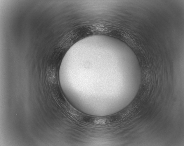 X0000057060709200510010107