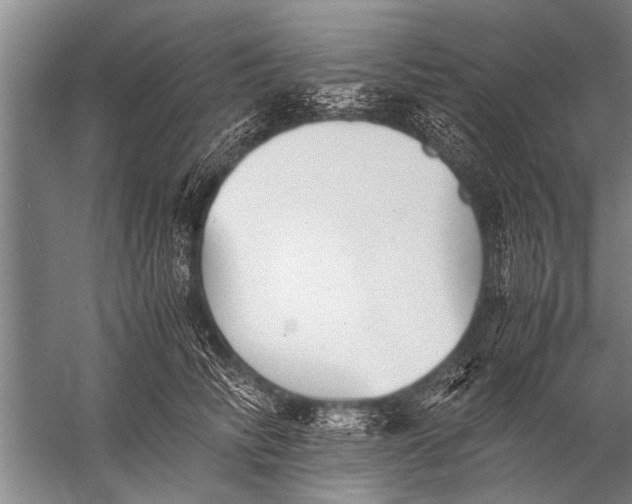 X0000057060710200510010107