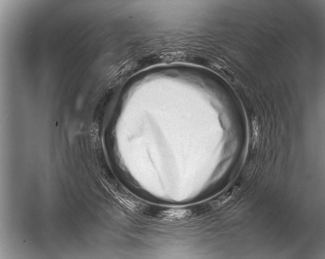 X0000057060711200510010107