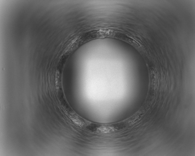 X0000057060712200510010107