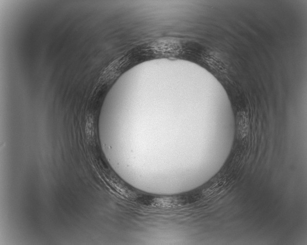 X0000057060713200510010107