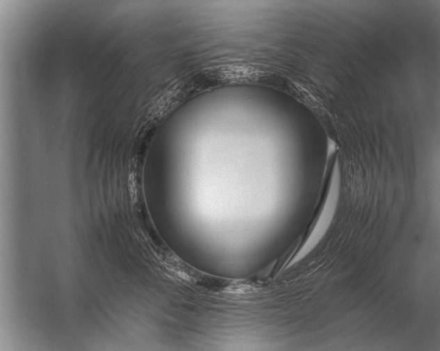 X0000057060716200510010107