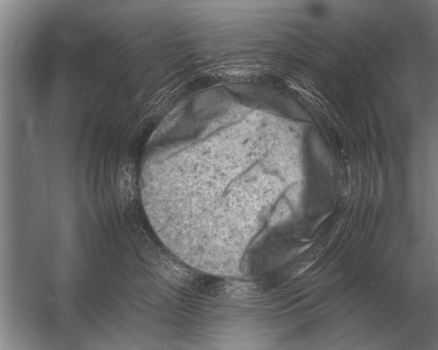 X0000057060718200510010107