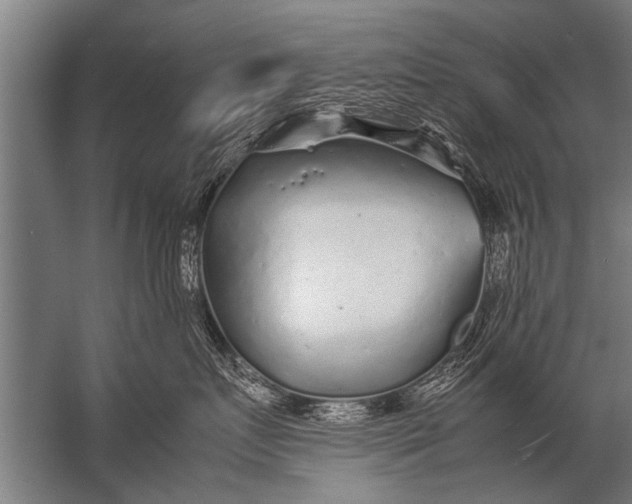 X0000057060719200510010107