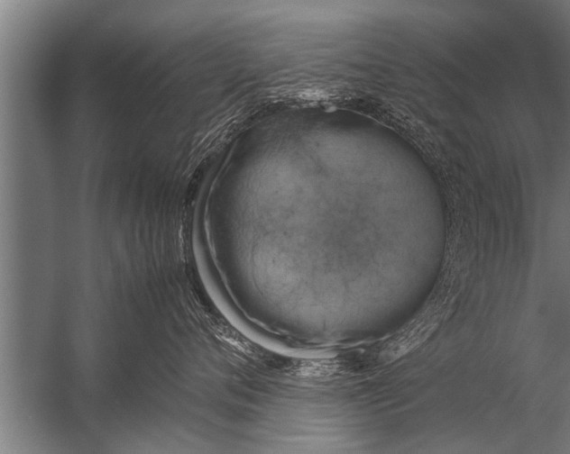 X0000057060720200510010107