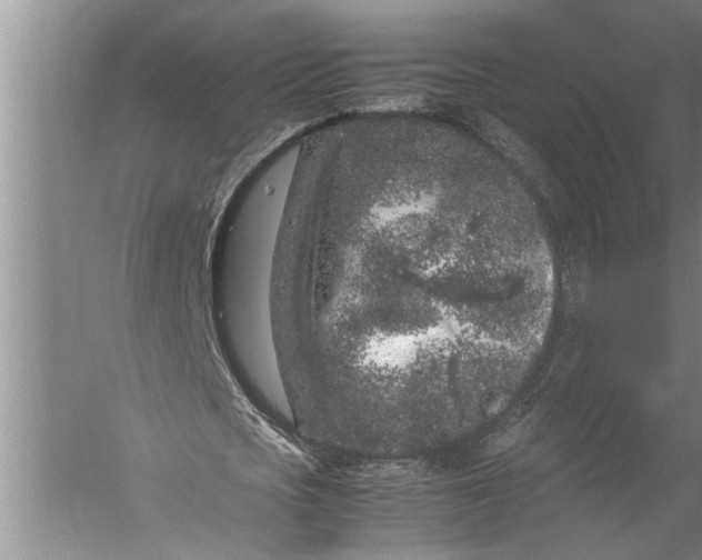 X0000057060721200510010106