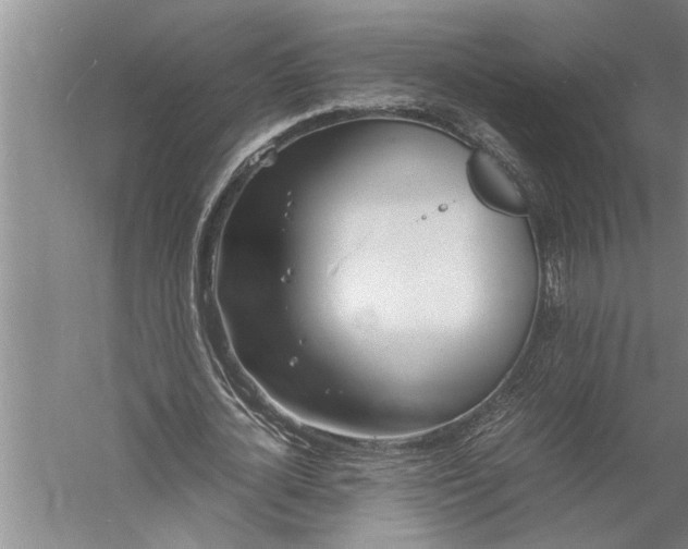 X0000057060724200510010106