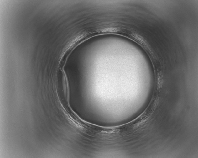 X0000057060725200510010106