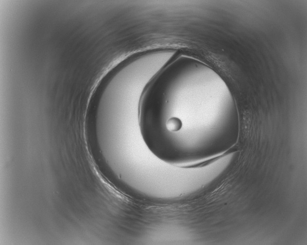 X0000057060726200510010106